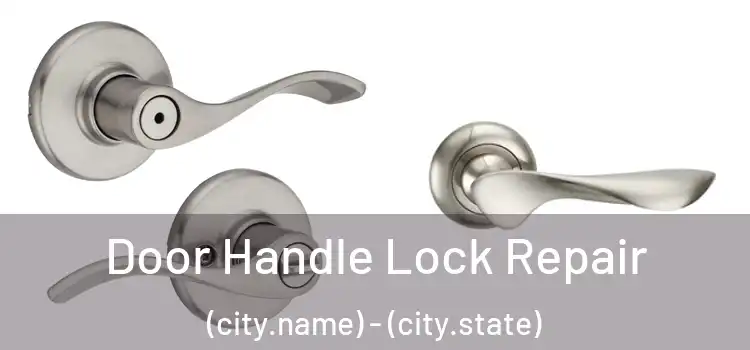 Door Handle Lock Repair (city.name) - (city.state)